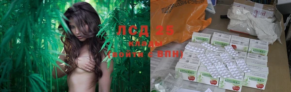 ешки Аркадак